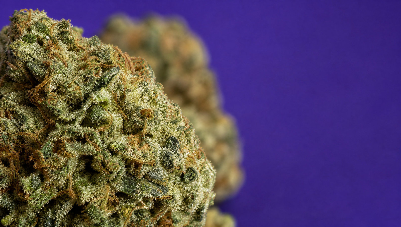 Macro — Kosher Kush